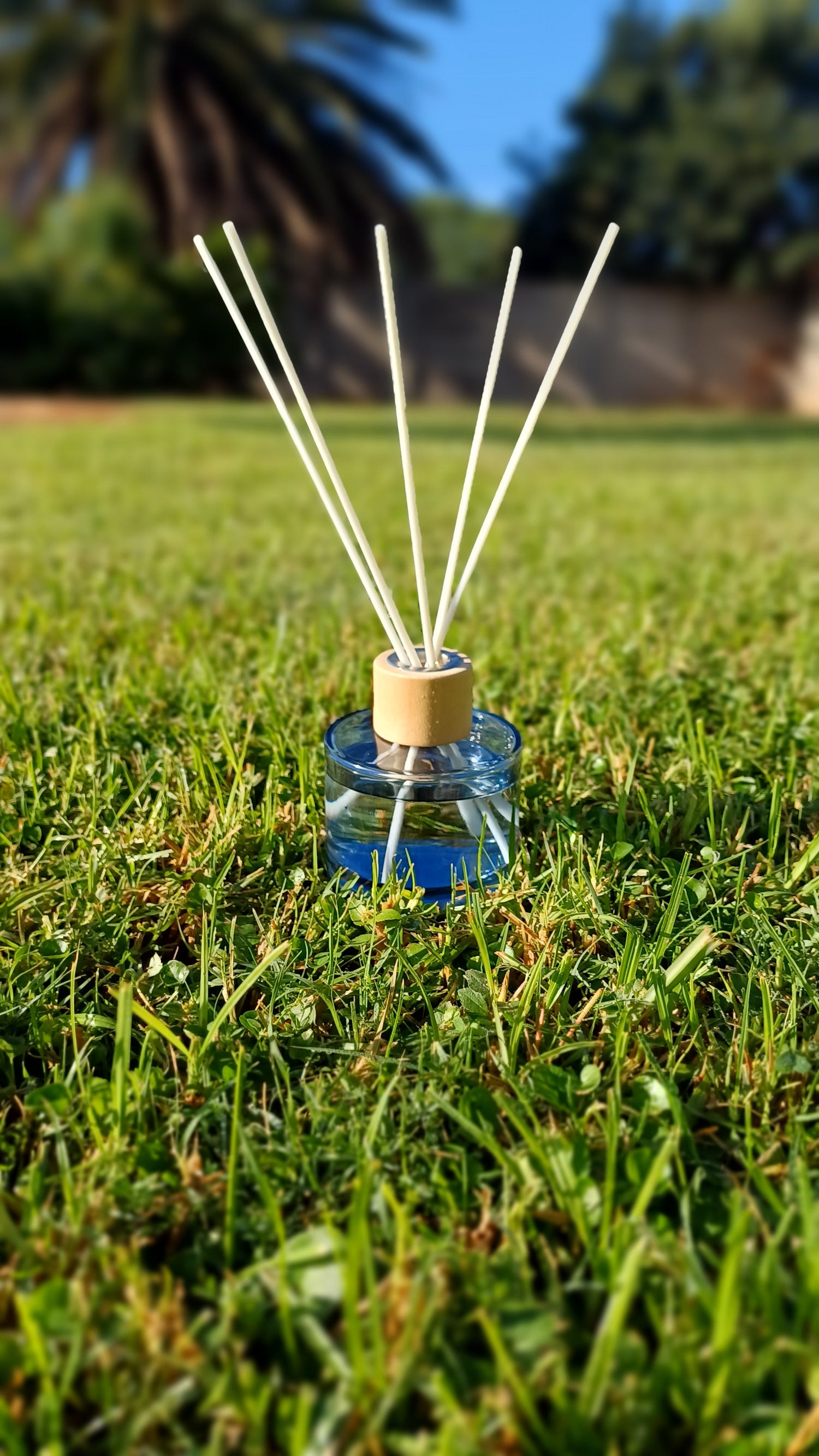 Reed Diffuser