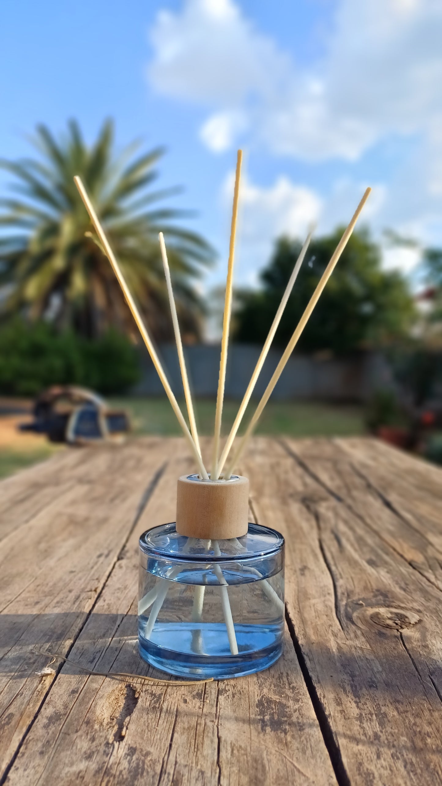 LemonGrass Lime & Ginger